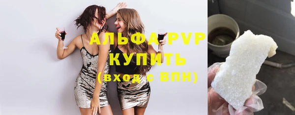 гидра Богородицк