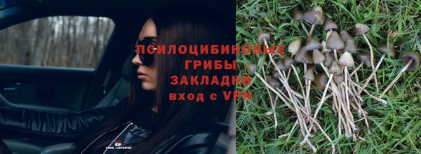 СК Белокуриха