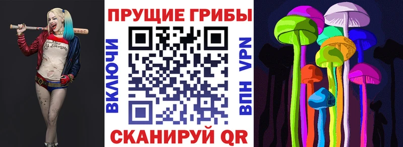 мега ссылка  Санкт-Петербург  Псилоцибиновые грибы GOLDEN TEACHER 