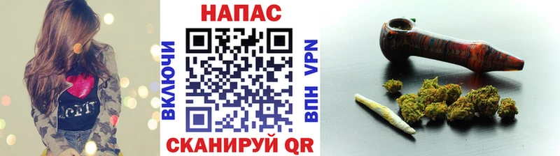 закладка Санкт-Петербург Шишки марихуана OG Kush